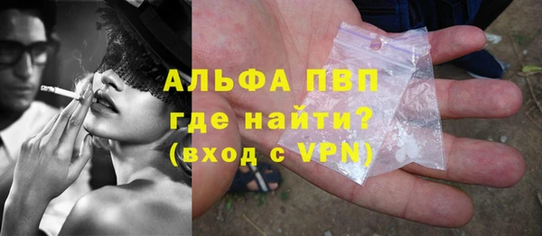 винт Горно-Алтайск