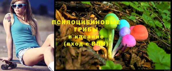 прущий лед Абаза